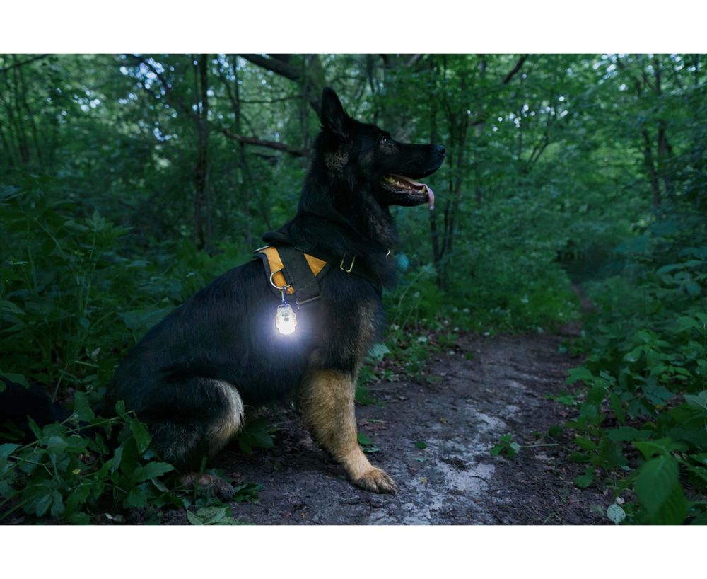 Фонарь Armytek Crystal Pro IR Grey [F10201GIR]