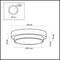 Настенный светильник Odeon Light Drops Holger 2746/2C