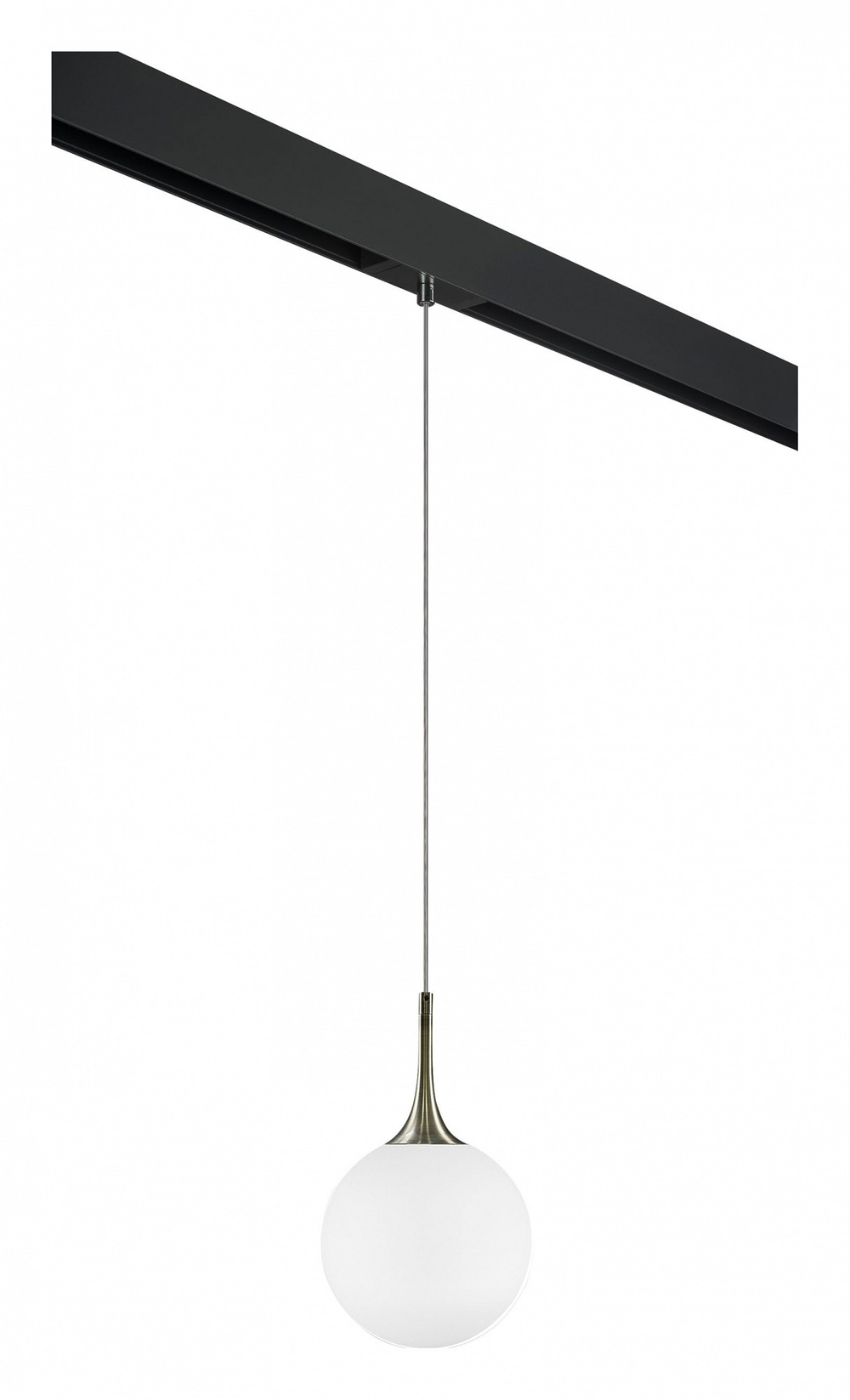 Подвесной светильник Lightstar Globo PRO813021