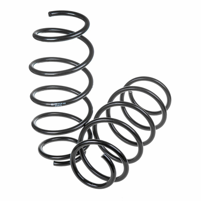 Пружины GANZ передние L=R FORD Fusion 06.2002 - 01.2004 (комплект 2 шт.) Арт.: GIK02118