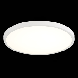 Светильник настенно-потолочный ST Luce ST601.542.32