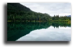 Постер "Зеркало леса"