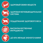 Курица с зелёной фасолью, 75г влажный корм для стерилизованных кошек Purina ONE