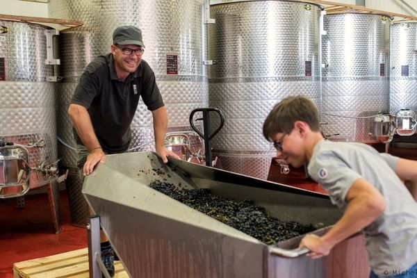 Domaine Lignier-Michelot Domaine Lignier-Michelot
