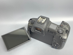 Canon EOS R 31000 кадров