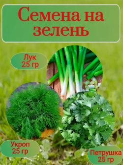 Семена на зелень