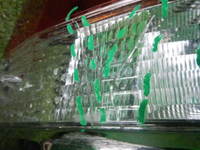 DSCN2574.jpg