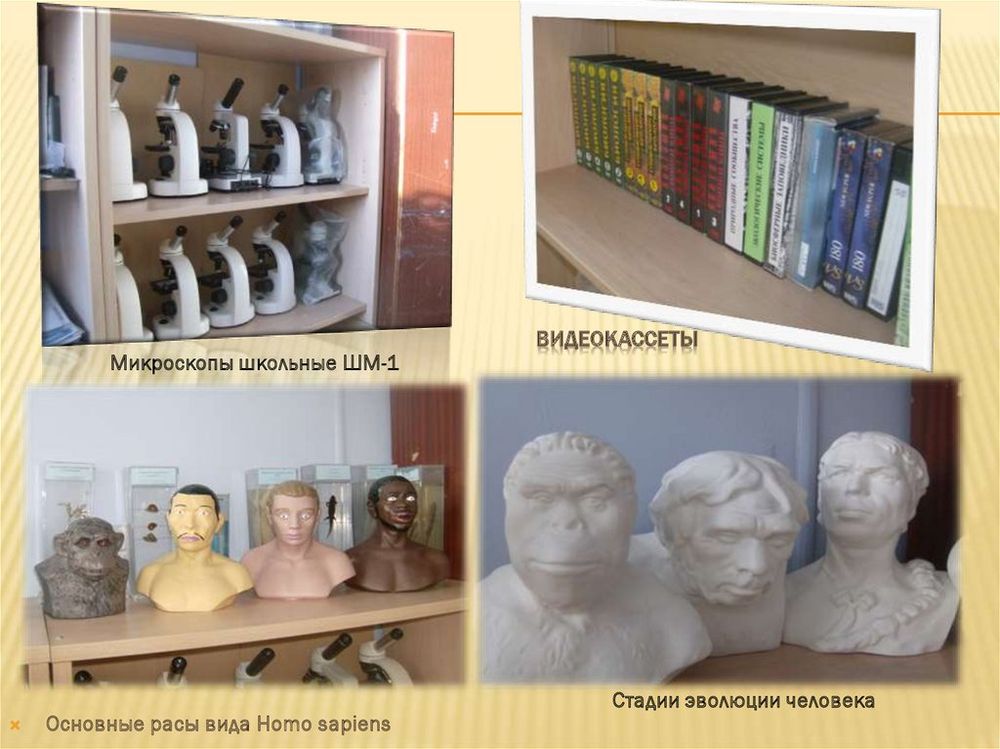 Комплект видеофильмов для кабинета биологии на DVD-Дисках — купить по ФГОС | Учебный стандарт Комплект видеофильмов для кабинета биологии на DVD-Дисках — купить по ФГОС | Учебный стандарт