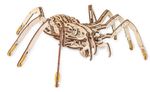 Конструктор деревянный 3D EWA SPIDER (Паук)
