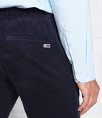 штаны scanton Tommy Jeans - темно-синий(DM0DM14474)