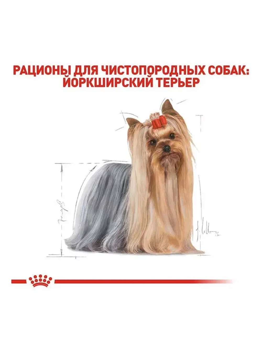 ROYAL CANIN Yorkshire Terrier Adult (Роял Канин Йоркширский терьер) корм сухой для собак15 кг