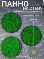 Круглое панно на стену из мха набор 3 шт.