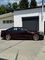Carbins Color PPF Black Rose SP 17 бордовая красная цветная полиуретановая защитная антигравийная пленка