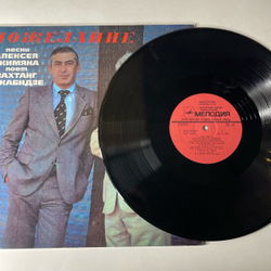 Винтажная виниловая пластинка LP Вахтанг Кикабидзе Пожелание (СССР 1981) Оптимистическая Песня