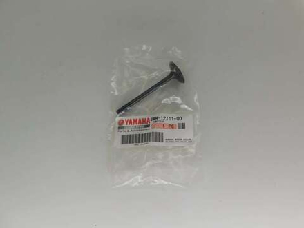 Клапан впускной Yamaha F9.9 F13.5 F15 F20 6AH-12111-00-00