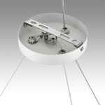 Подвесная люстра Lumion LUAZANA 8254/9