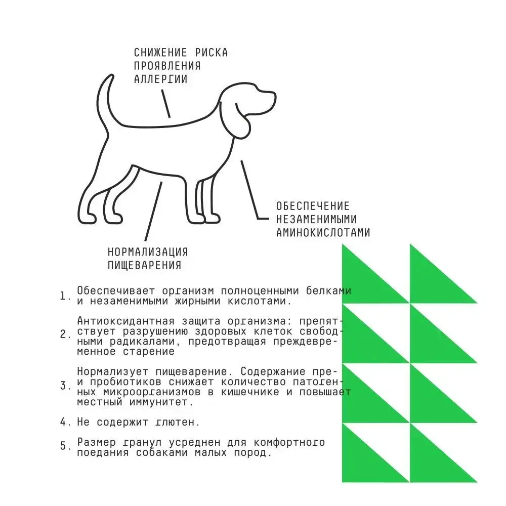 AJO (Айо) Dog Mini Hypoallergenic Сухой полнорационный корм с гречкой для взрослых собак миниатюрных и малых пород, склонных к аллергиям, 2 кг
