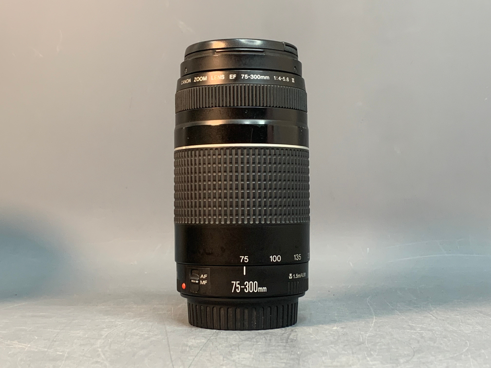 Canon EF 75-300mm 4-5.6 III внутри линзы пылинка