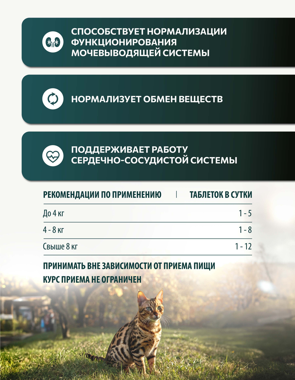 Vita+ мультивитаминное лакомство для кошек Для кастрированных котов и стерилизованных кошек, 90 таблеток