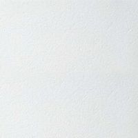 Панель потолочная Armstrong Retail tegular 600х600х14 мм 16 шт