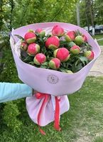 Пионы