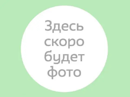 Петуния Petunia Vista PARAMUT 24 ЕВРО укорененный черенок ФЕВРАЛЬ 27 поставка 18