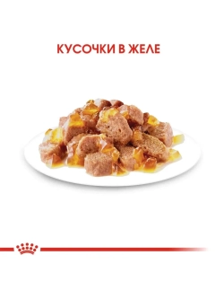 Sterilised Корм для кошек в желе 28шт