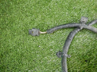 DSCN5410.jpg