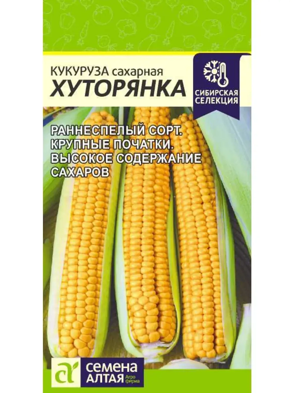 Семена сахарной скороспелой кукурузы Хуторянка.