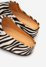 mule zebra noire