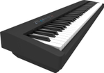 Roland FP-30X-BK