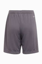 Шорты adidas Entrada 22 Junior