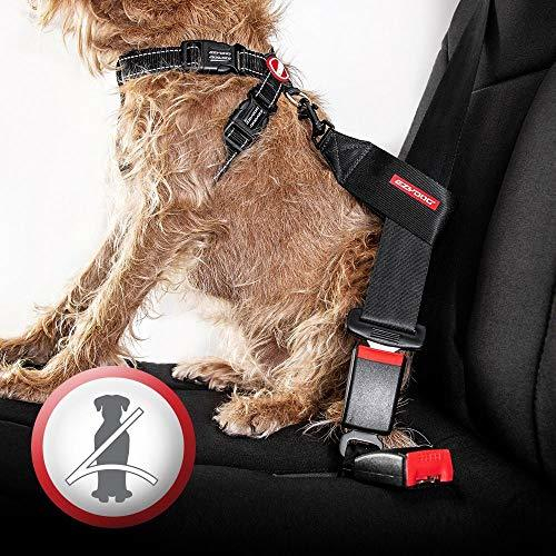 Шлейка Chest Plate EzyDog
