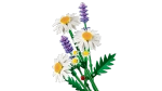 Конструктор LEGO Botanical Collection 11508 Daisies