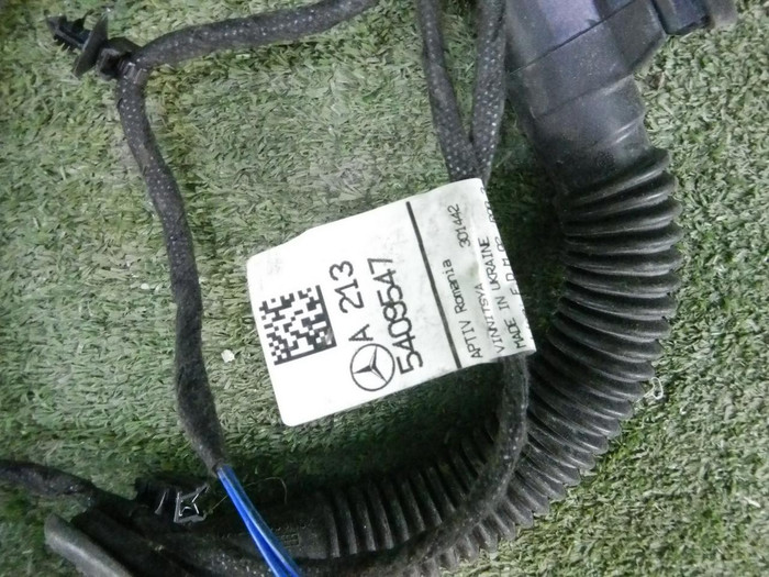 DSCN2503.JPG
