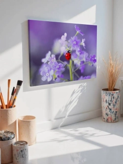Картина на стену 40 X 50 Божья коровка