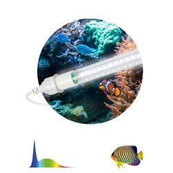 Фитолампа для растений светодиодная ЭРА FITO-15W-Ra90-Т8-AQUA для аквариума, 15 Вт, полный спектр | Фитолампы T8