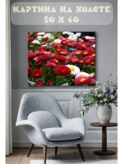 Картина на стену 40 X 50 Поле маргариток