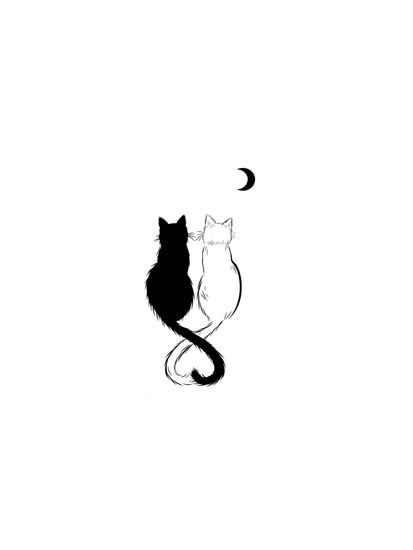 dreaming cats