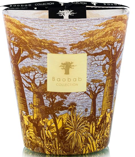 Cocody, свеча MAX 16 Sacred Trees collection, Baobab Collection