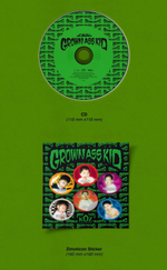 ZICO - Grown Ass Kid