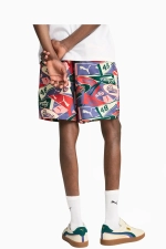Шорты Puma Sports Legacy AOP Relaxed - многоцветный