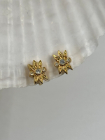 Клипсы с кристаллами Nina Ricci