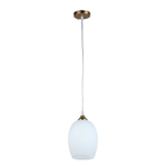 Подвесной светильник  Arte Lamp PROPUS A4344SP-1PB