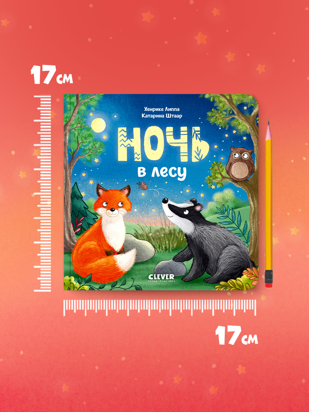 Книжки-картонки. Ночь в лесу