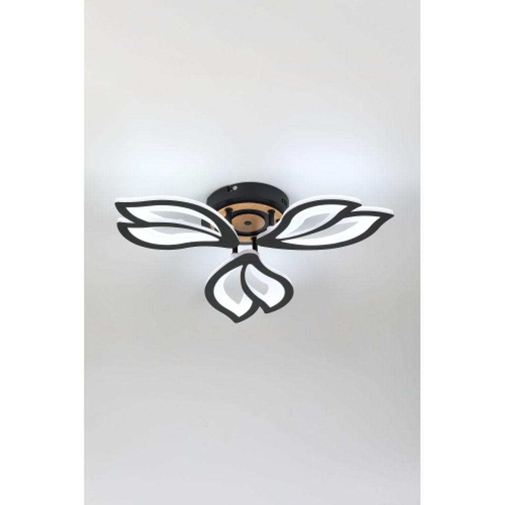 Светильник потолочный светодиодный Rivoli Lana 6195-703 LED 3000-6250К 60 Вт с пультом | Rivoli