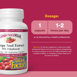 Natural Factors, GrapeSeedRich®, экстракт виноградных косточек, 100 мг, 120 вегетарианских капсул