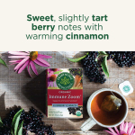 Traditional Medicinals, Organic Immune Boost®, бузина и эхинацея, без кофеина, 16 чайных пакетиков, 28 г (0,99 унции)