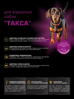 Корм сухой для взрослых собак породы Такса (стандартная), с говядиной, 800 гр, QUATTRO