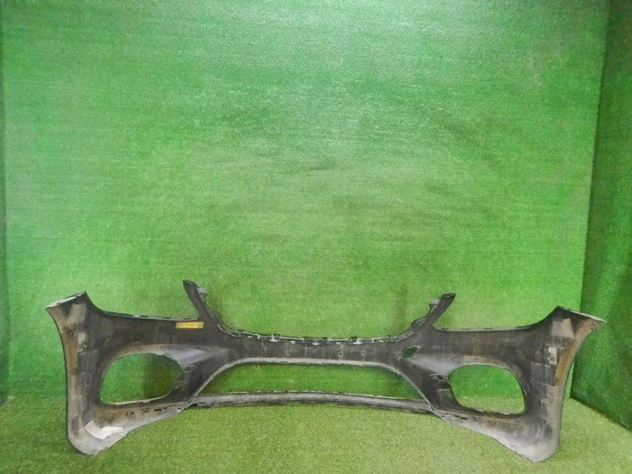 DSCN6195.jpg